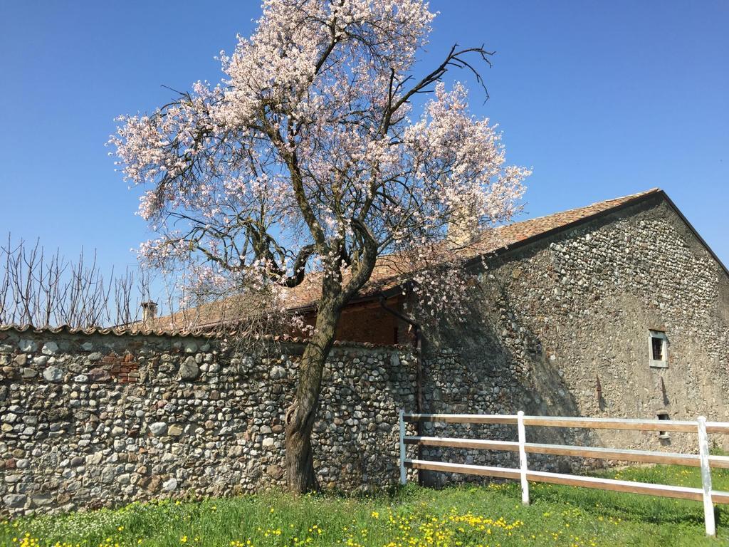 Antico Cascinale Lombardo Bed & Breakfast Lonato Exterior photo